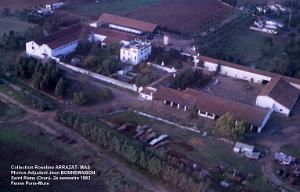 Mas- 333- Saint Remy- Pons Mure